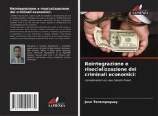 Reintegrazione e risocializzazione dei criminali economici:的封面