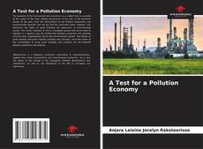 Buchcover von A Test for a Pollution Economy