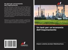 Couverture de Un test per un'economia dell'inquinamento