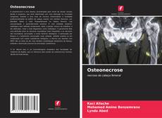 Capa do livro de Osteonecrose 