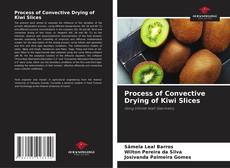 Capa do livro de Process of Convective Drying of Kiwi Slices 