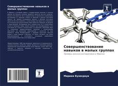 Совершенствование навыков в малых группах kitap kapağı