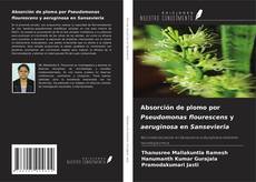 Copertina di Absorción de plomo por Pseudomonas flourescens y aeruginosa en Sansevieria