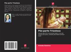 Pós-parto Triasteza的封面