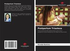 Postpartum Triasteza的封面