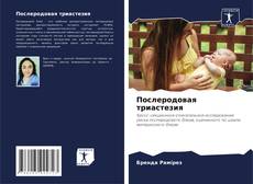 Buchcover von Послеродовая триастезия