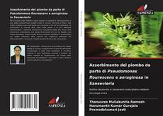 Couverture de Assorbimento del piombo da parte di Pseudomonas flourescens e aeruginosa in Sansevieria