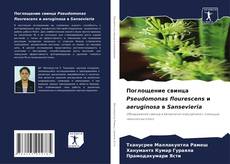 Bookcover of Поглощение свинца Pseudomonas flourescens и aeruginosa в Sansevieria