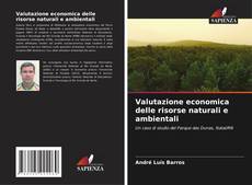 Couverture de Valutazione economica delle risorse naturali e ambientali