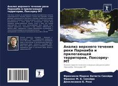 Bookcover of Анализ верхнего течения реки Парнаиба и прилегающей территории, Поксореу-МТ