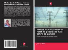 Efeitos da electrificação rural na população rural pobre da Zâmbia kitap kapağı