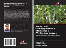 Couverture de Valutazione farmacognostica e fitochimica del Phyllanthus amarus