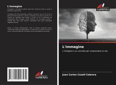 Couverture de L'immagine