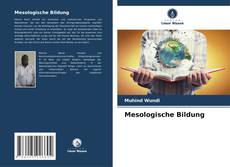 Mesologische Bildung kitap kapağı