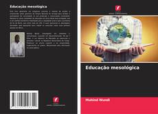 Buchcover von Educação mesológica