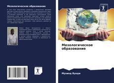 Мезологическое образование kitap kapağı