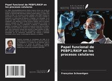 Borítókép a  Papel funcional de PEBP1/RKIP en los procesos celulares - hoz