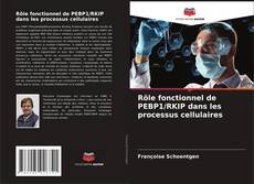 Rôle fonctionnel de PEBP1/RKIP dans les processus cellulaires kitap kapağı