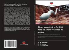 Portada del libro de Gènes associés à la fertilité dans les spermatozoïdes de buffles