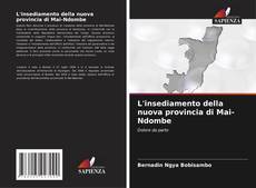 L'insediamento della nuova provincia di Mai-Ndombe的封面