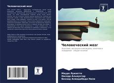Обложка Человеческий мозг
