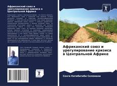Borítókép a  Африканский союз и урегулирование кризиса в Центральной Африке - hoz