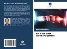 Ein Buch über Wutmanagement kitap kapağı