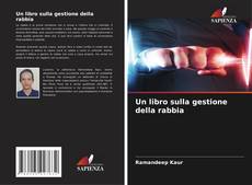 Couverture de Un libro sulla gestione della rabbia