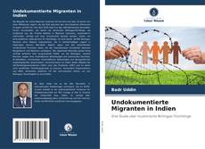 Обложка Undokumentierte Migranten in Indien
