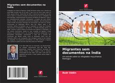 Buchcover von Migrantes sem documentos na Índia