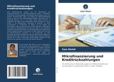 Mikrofinanzierung und Kreditrückzahlungen的封面