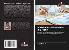 Couverture de Microfinanza e rimborsi di prestiti