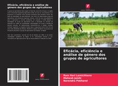 Buchcover von Eficácia, eficiência e análise de género dos grupos de agricultores