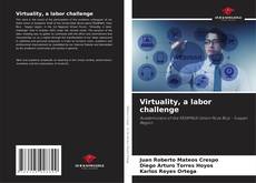 Bookcover of Virtuality, a labor challenge
