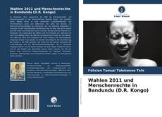Обложка Wahlen 2011 und Menschenrechte in Bandundu (D.R. Kongo)