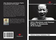 Portada del libro de 2011 Elections and Human Rights in Bandundu (R.D.Congo)