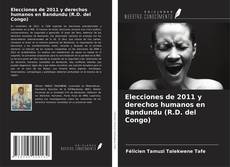 Copertina di Elecciones de 2011 y derechos humanos en Bandundu (R.D. del Congo)