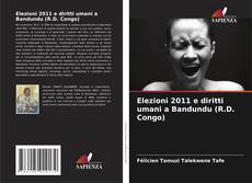 Couverture de Elezioni 2011 e diritti umani a Bandundu (R.D. Congo)