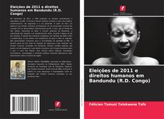 Portada del libro de Eleições de 2011 e direitos humanos em Bandundu (R.D. Congo)