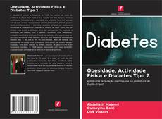 Bookcover of Obesidade, Actividade Física e Diabetes Tipo 2