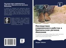 Bookcover of Последствия современного рабства в бразильском регионе Амазонии