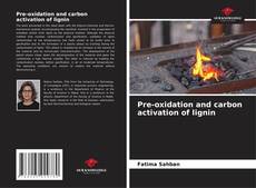 Buchcover von Pre-oxidation and carbon activation of lignin