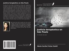 Justicia terapéutica en São Paulo的封面