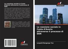 La coesione sociale in Costa d'Avorio attraverso il processo di DDR的封面