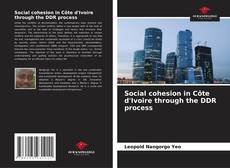 Portada del libro de Social cohesion in Côte d'Ivoire through the DDR process