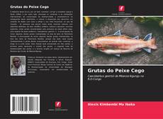 Bookcover of Grutas do Peixe Cego