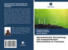 Copertina di Agronomische Verwertung von kompostiertem Klärschlamm in Tunesien