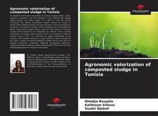 Portada del libro de Agronomic valorization of composted sludge in Tunisia