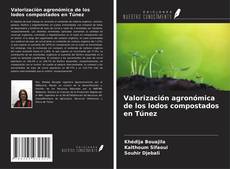 Copertina di Valorización agronómica de los lodos compostados en Túnez