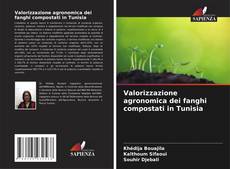 Copertina di Valorizzazione agronomica dei fanghi compostati in Tunisia
